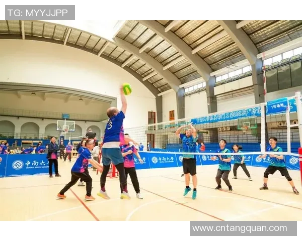 全国锦标赛回顾：成都排球队展现灵活战术与团队协作的精彩表现